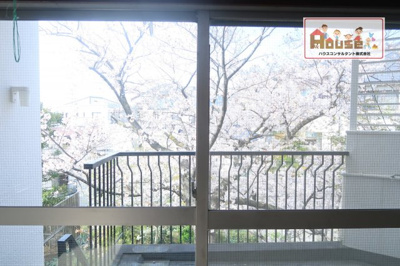 【展望】 | 東灘区森北町5丁目　中古戸建