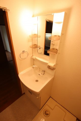 【独立洗面台】 | Shelley's金剛