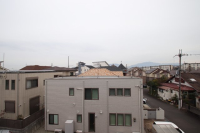 【展望】 | Shelley's金剛