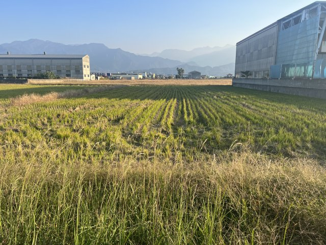 西条市港土地の周辺