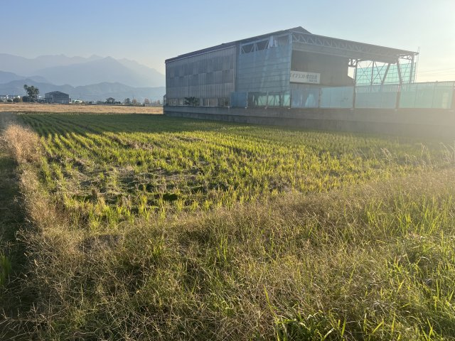 西条市港土地の外観