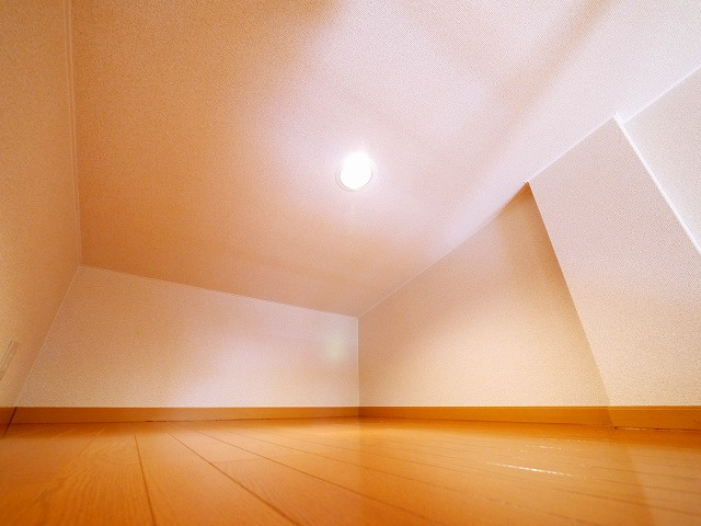 メゾン　フレシールの収納|こまごまとしたものを収納できそうですね