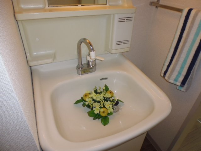 ベネッセ西の浦の独立洗面台