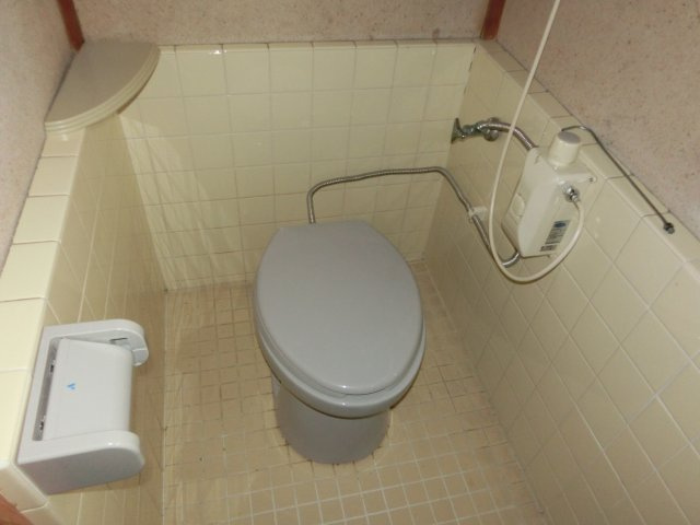 吾川郡いの町枝川　売家のトイレ