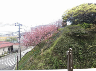 【展望】 | ３階部分からの眺望です。