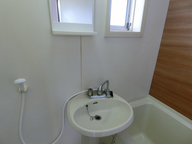 メゾン・ルピネスの洗面所