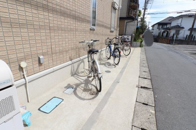 プレアデスのその他