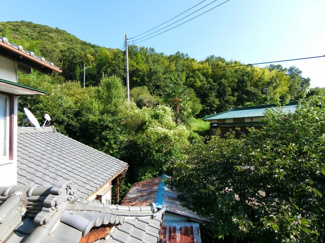 【展望】 | 緑豊かな眺望です