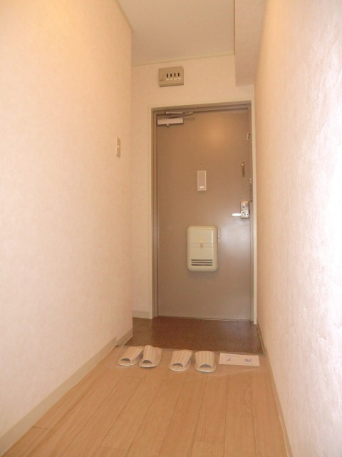 大拓ハイツ7の玄関