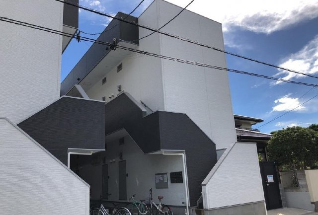 ステラ伯玄