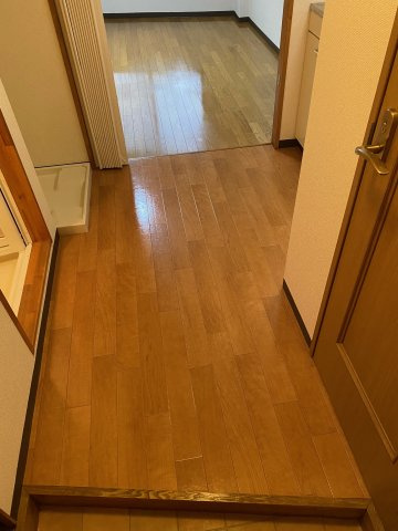 レディースマンションプリンセスの玄関|イメージになります。