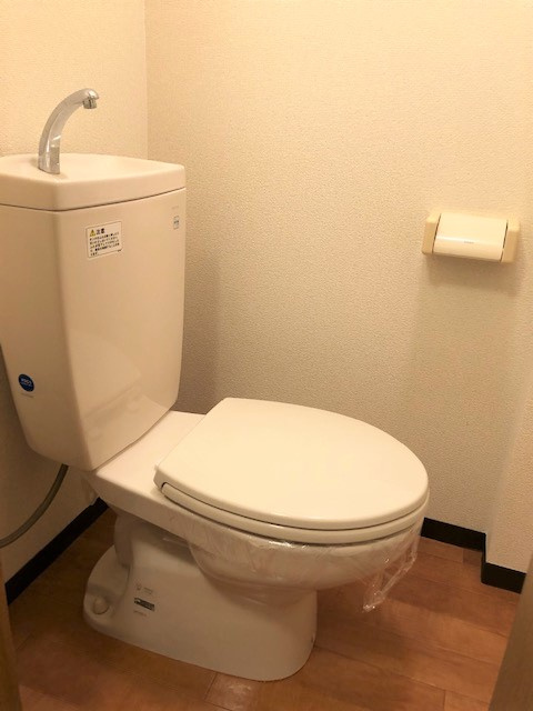 レディースマンションプリンセスのトイレ|イメージになります。