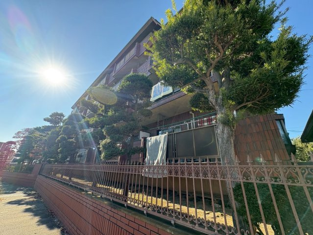 エクセレント丸太の展望