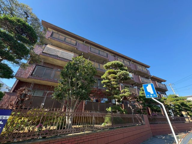 エクセレント丸太