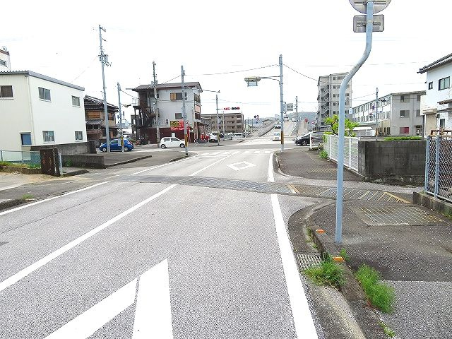 南国市小籠一丁目 売土地の前面道路含む現地写真|物件東側道路（南方向）