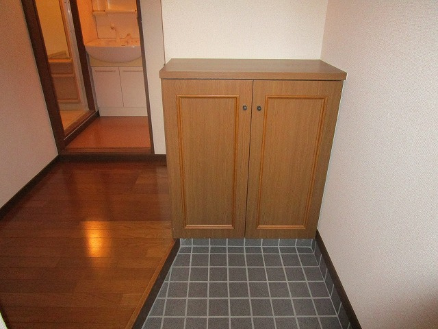 熊本市南区田井島３丁目の賃貸マンションの玄関