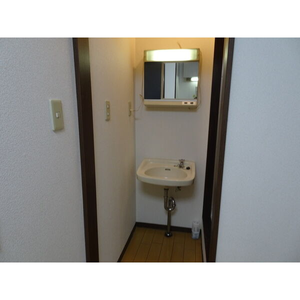 コーポ田中の洗面所