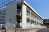 サンフラワーBの画像