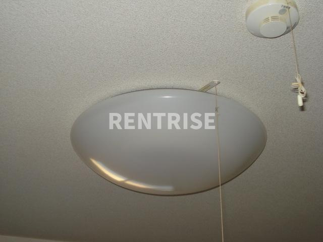 プチ・桃の設備|照明