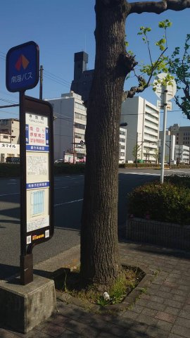 堺市堺区寺地町東　土地の周辺|南海バス停車駅すぐ