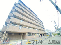 フレアブローリーの画像