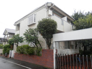 プリムローズの画像