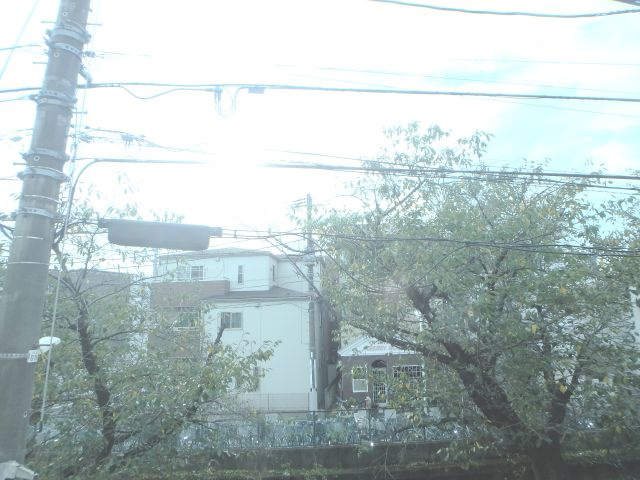 NEXUSクインズの展望
