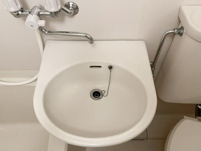 アスタック弐番館の洗面所