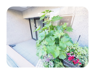 【エントランス】 | 清潔なエントランスです