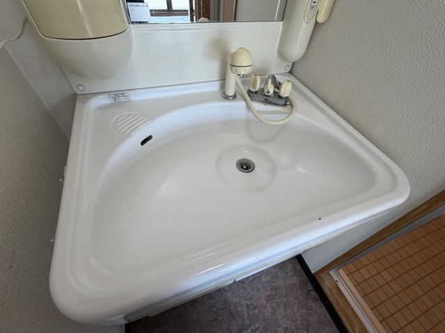 グレース蜆塚の洗面所