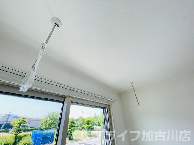 ハレワレアのその他
