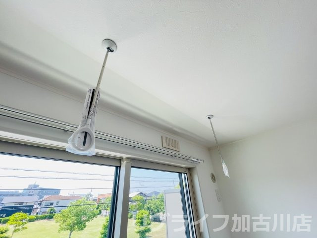 ハレワレアのその他