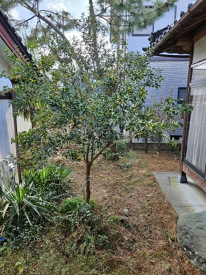 【庭】 | 鳥取市面影２丁目中古戸建て