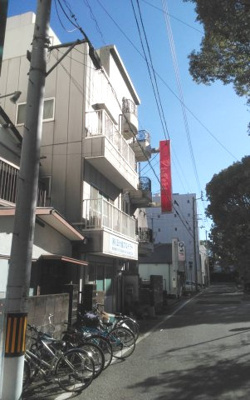 【前面道路含む現地写真】 | 高知県高知市堺町 売り土地 | 近隣平坦地になります。