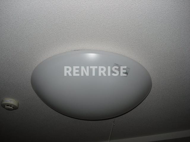 ロイヤル木の家 Ⅱ番館の設備|照明(イメージ)