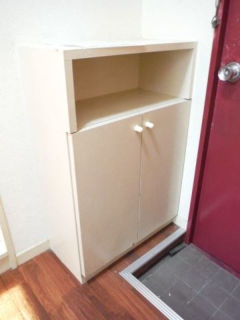 メディカルコーポI【10,000円キャッシュバック対象物件】の玄関|明るい玄関です