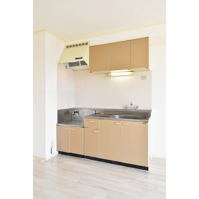 タプロコート弐番館【キャッシュバック対象物件】のキッチン