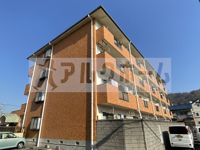 エコーハイツ2の外観|エコーハイツ2（柏原市平野）　エントランス