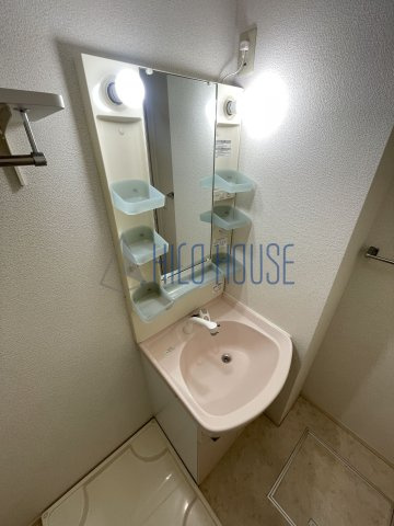 エテルナピーノAの洗面所