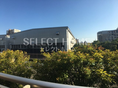 【展望】 | ＰａｌｅｔｔｅＴ２