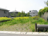 鉢の皮売地の画像