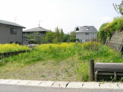 【外観】 | 鉢の皮売地