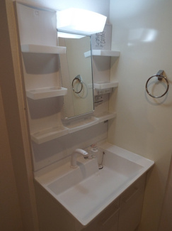 【独立洗面台】 | D-Ｒesidence　E | 独立洗面台、小物を置くことができて便利です