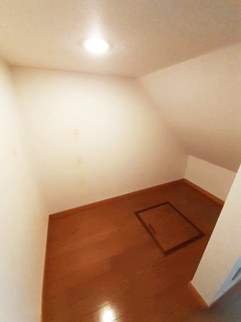 リュエルⅡのその他