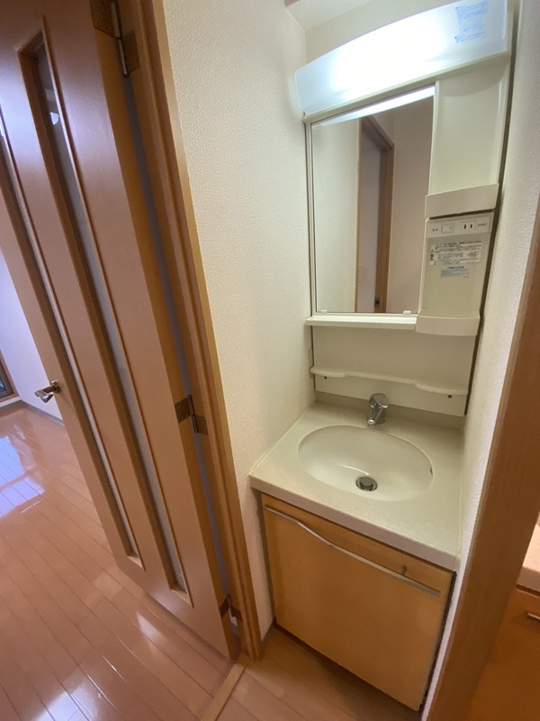 エステムコート御所南Ⅱの洗面所