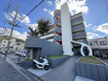 パナグレープの画像