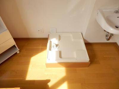 こまかも川の内装|洗濯機室内設置可