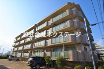 エルトベーレの画像