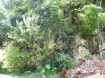 【周辺】 | 菊池市豊間　土地