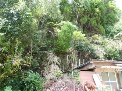 【周辺】 | 菊池市豊間　土地